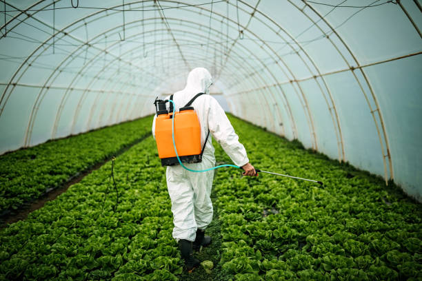 Best Residential Pest Control  in Nemacolin, PA