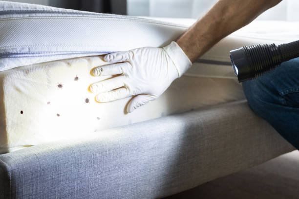 Best Emergency Pest Control  in Nemacolin, PA