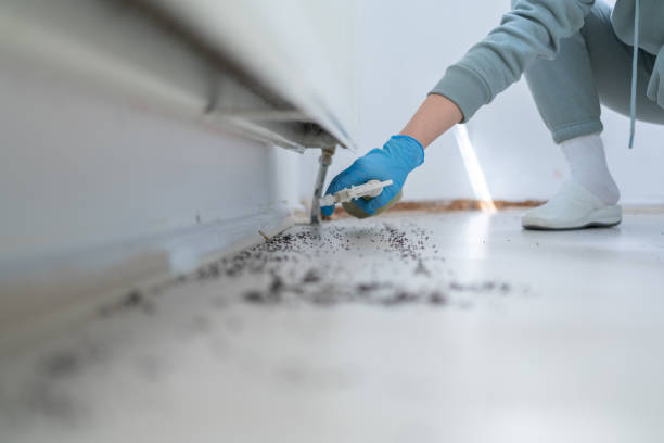 Best Bed Bug Extermination  in Nemacolin, PA